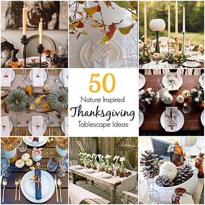 50-nature-inspired-thanksgiving-tablescape-ideas