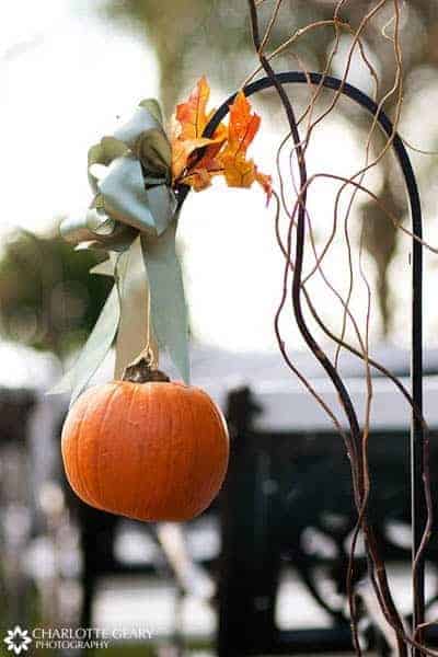 I LOVE the idea of scattering tiny white pumpkins throughout our wedding for a bit of whimsy and romance! Check out these 10 Pumpkin Wedding Decor Ideas.