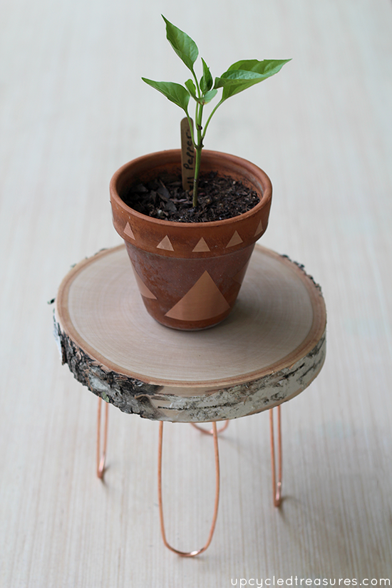 Need a creative stand to hold your plants? Check out how easy it is to create this DIY Rustic Modern Plant Stand with copper legs. 