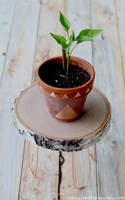 diy-rustic-modern-birch-wood-plant-stand-upcycledtreasures