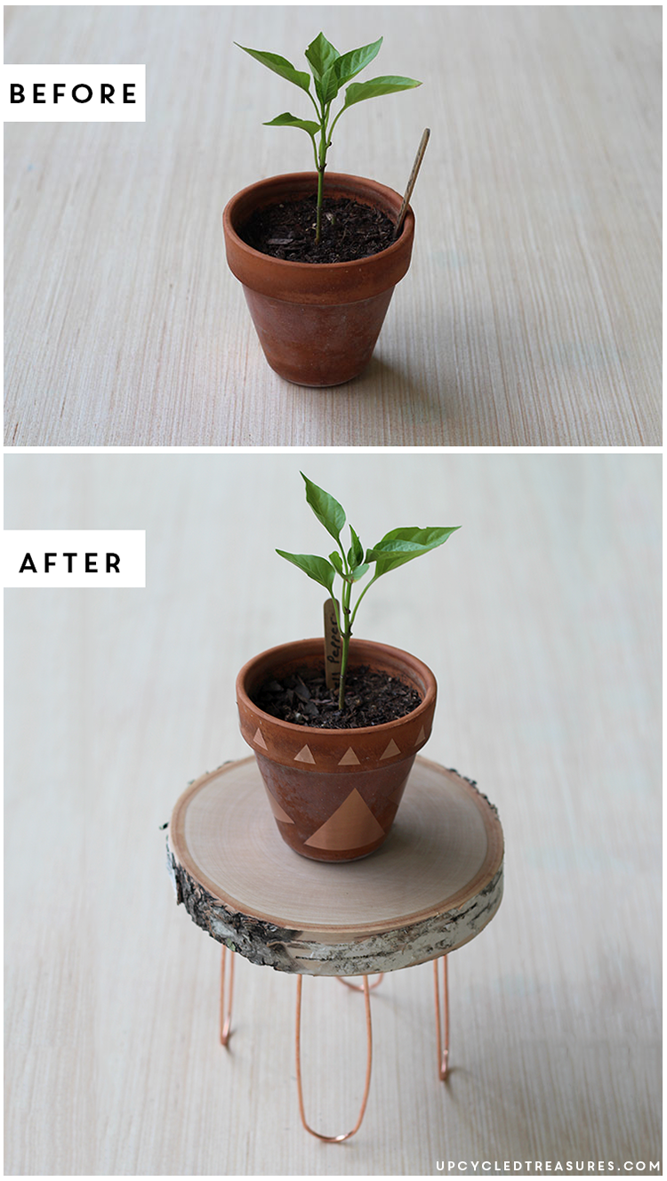 Have those Terra Cotta Pots just lying around? Come check out how to Decorate Terra Cotta Pots using Contact Paper! UpcycledTreasures.com