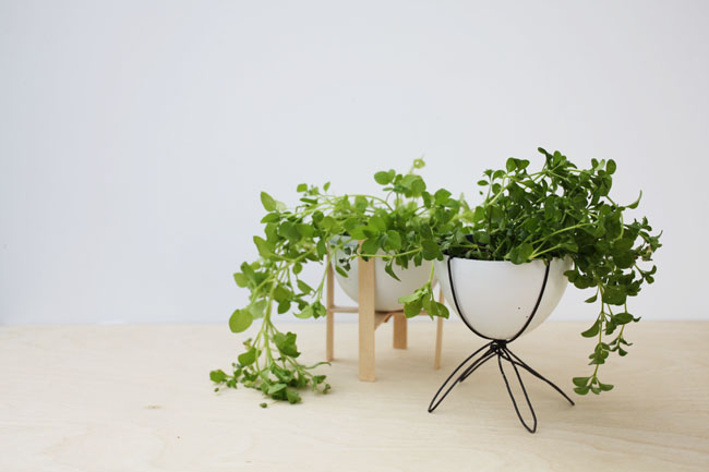 Upcycled Mini Planters | Brave New Home