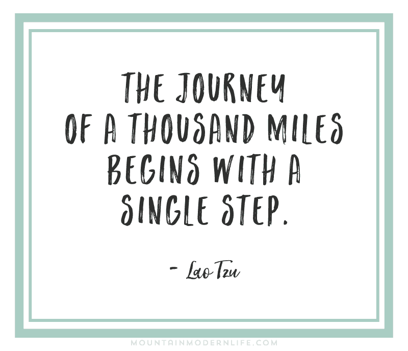 The Journey of a Thousand Miles Begins with a Single Step - Lao Tzu