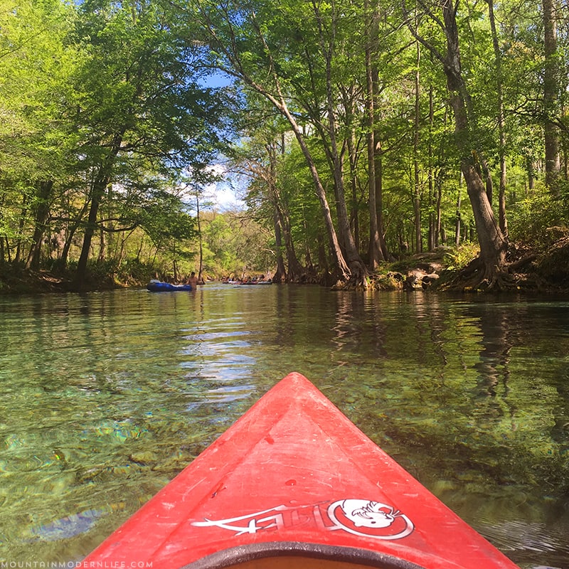 Take a trip with us as we go Kayaking down Santa Fe River in Northern Florida. Photo and video tour included. MountainModernLife.com