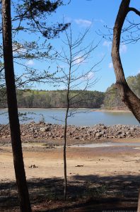 Are you looking for State Parks to stay at while traveling through Georgia in your RV? If so, make sure to check out Fort Yargo State Park. | Mountainmodernlife.com