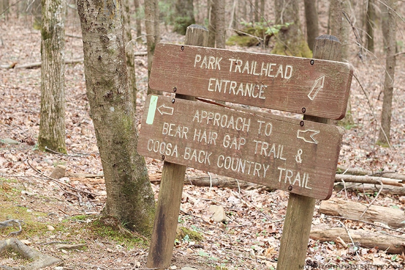 How much does it cost to get into vogel state park?