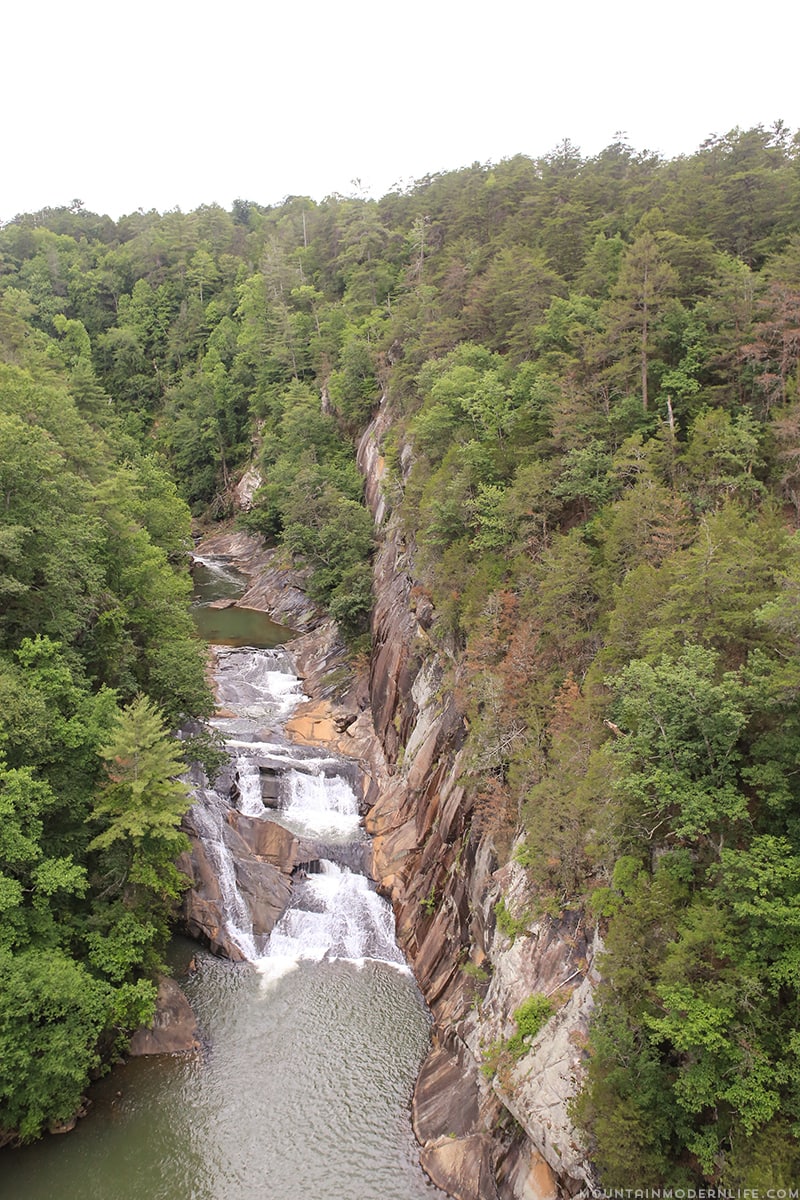 Looking to get out and explore North Georgia? Look no further than Tallulah Gorge State Park, it's one of the largest gorges on the East Coast! MountainModernLife.com