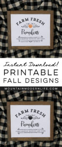See how easy it is to make this Farm Fresh Pumpkins Sign from a Printable using this image transfer method! Perfect for decorating your own home or to give away as gifts. MountainModernLife.com