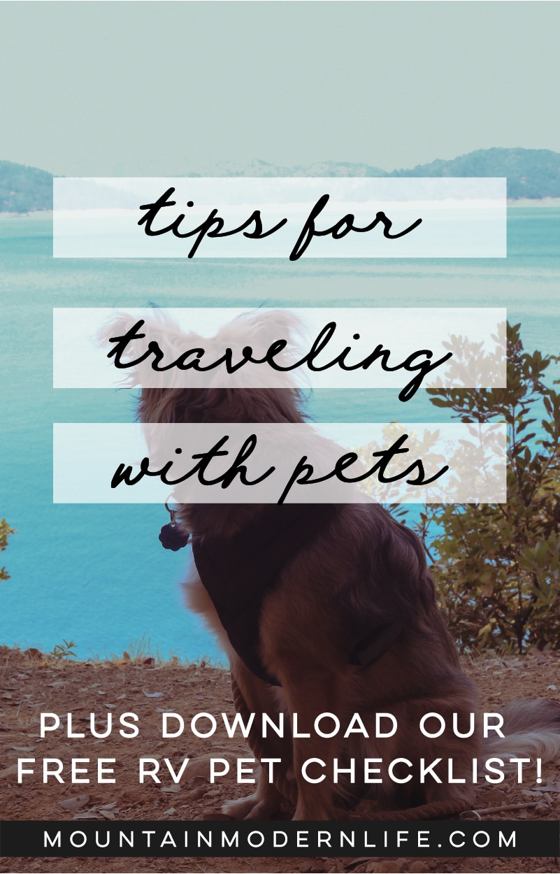 Tips for Traveling with Pets + Printable RV Pet Checklist