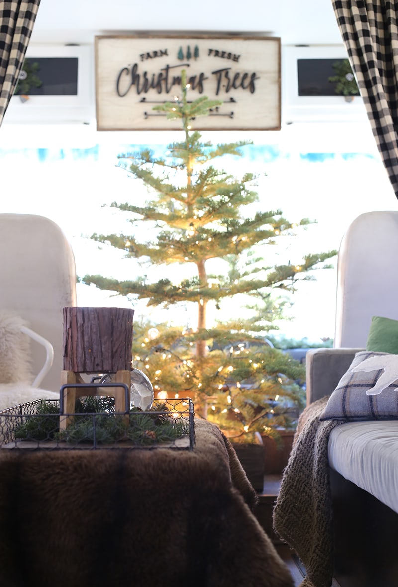 Christmas tree cut from the forest inside RV