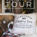 See how these tiny home dwellers decorated for the holidays in this cozy RV Christmas Tour #mycamperchristmas #RVtour