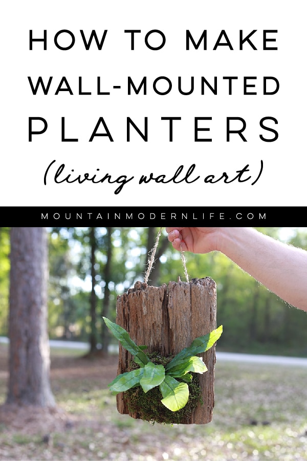 See how easy it is to make wall mounted plants on cork bark flats or driftwood! These are perfect for tiny living, purifying the air, or to keep out of reach from nibbling pets! #plants