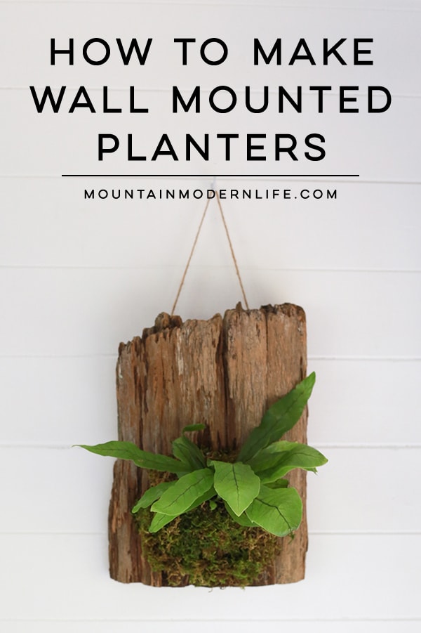 See how easy it is to make wall mounted plants on cork bark flats or driftwood! These are perfect for tiny living, purifying the air, or to keep out of reach from nibbling pets! MountainModernLife.com