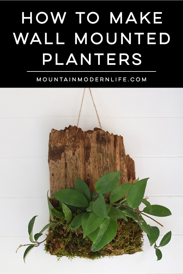 See how easy it is to make living wall art by mounting plants to cork bark flats or driftwood! These are perfect for tiny living, purifying the air, or to keep out of reach from nibbling pets! MountainModernLife.com