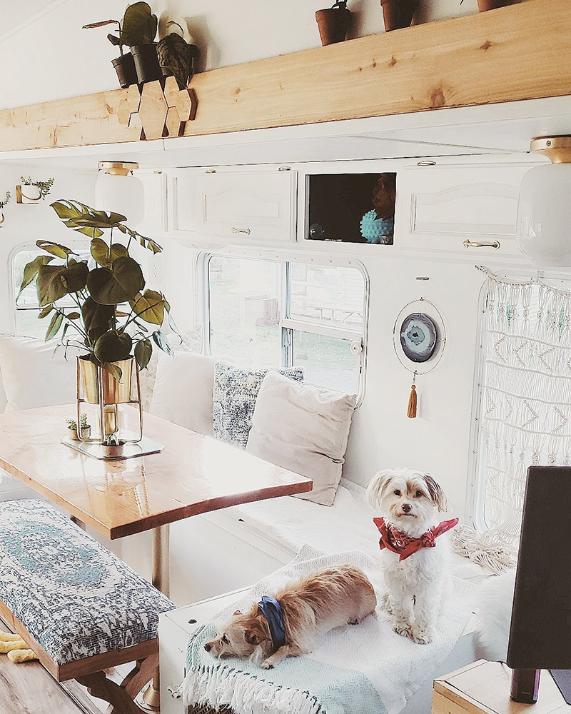 The Interior Of This 5Th Wheel Is Boho-Glam And Filled With Plants! |  Mountain Modern Life %