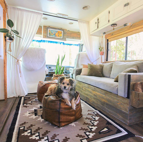 How to combat pet fur in an RV