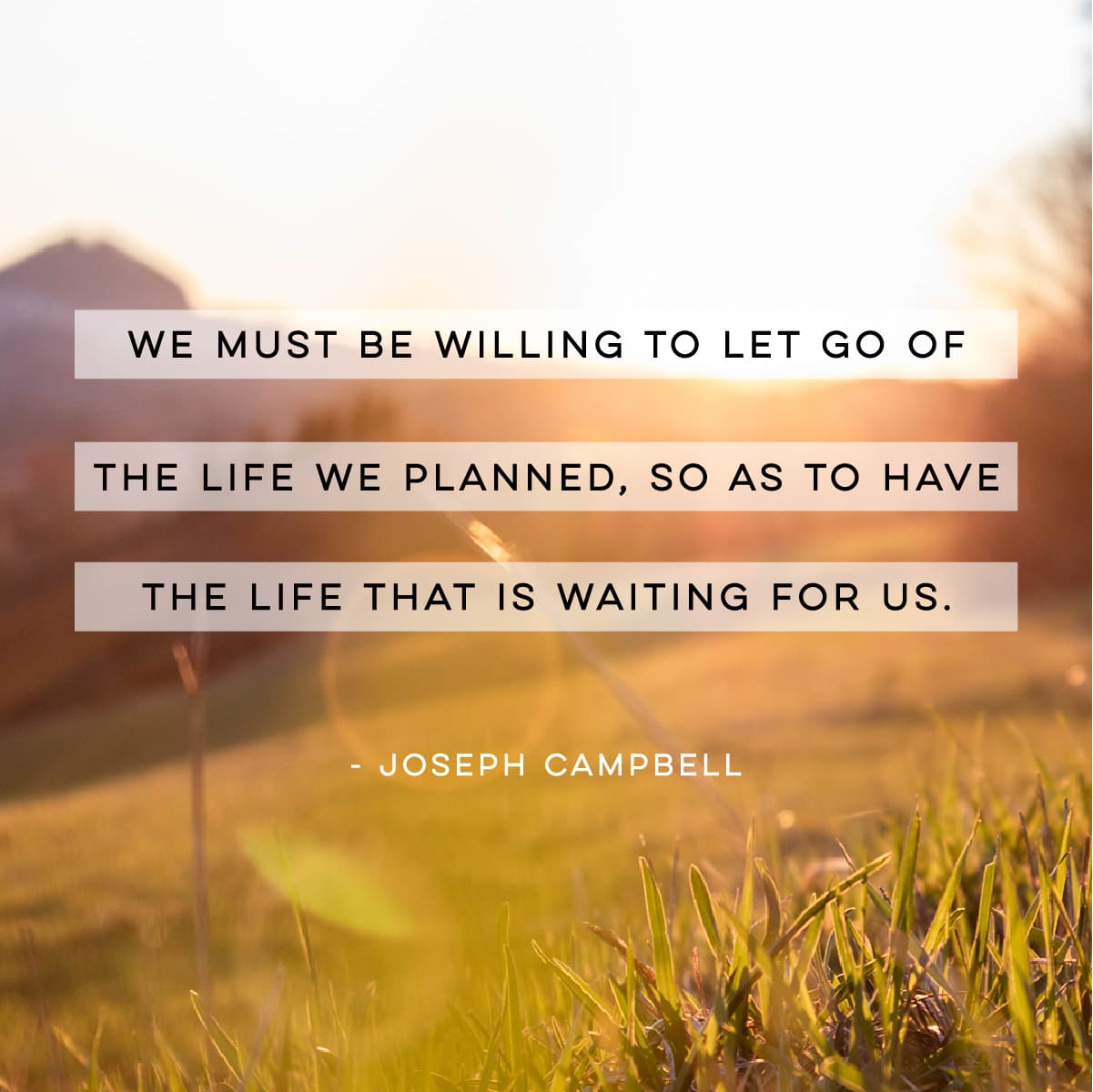 "We must be willing to let go of the life we planned, so as to have the life that is waiting for us. " Joseph Campbell Quote