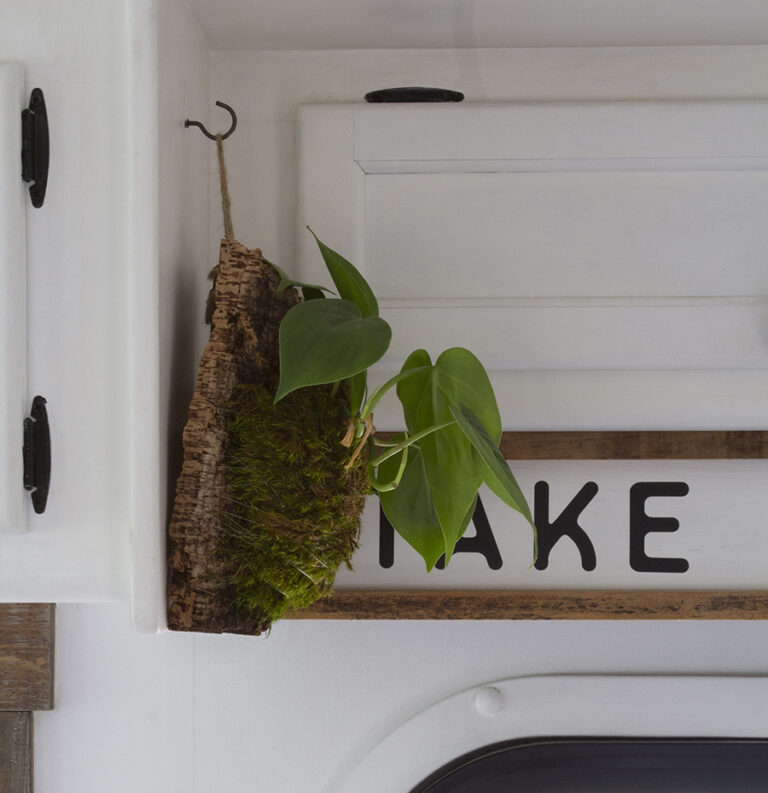 DIY Cork bark wall planter