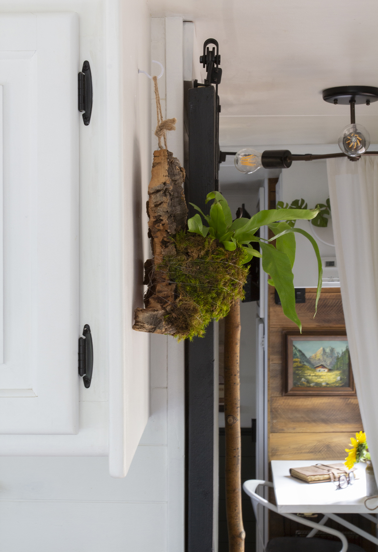 hanging planter in RV on cork bark with moss